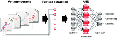 Graphical abstract: Resolution of phenolic antioxidant mixtures employing a voltammetric bio-electronic tongue