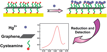 Graphical abstract: Sensitive and selective voltammetric measurement of Hg2+ by rational covalent functionalization of graphene oxide with cysteamine