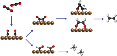 Graphical abstract: A new mechanism for the selectivity to C1 and C2 species in the electrochemical reduction of carbon dioxide on copper electrodes