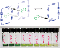 Graphical abstract: A rigid donor–acceptor daisy chain dimer