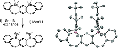 Graphical abstract: Meta-B-entacenes: new polycyclic aromatics incorporating two fused borepin rings