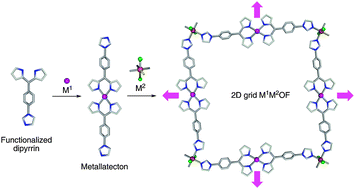 Graphical abstract: Stepwise construction of grid-type Cu(ii)–Cd(ii) heterometallic MOFs based on an imidazole-appended dipyrrin ligand