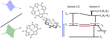 Graphical abstract: Ultrafast exciton dynamics after Soret- or Q-band excitation of a directly β,β′-linked bisporphyrin