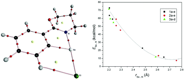 Graphical abstract: Effect of chelate ring and rigidity on Se⋯N interactions: a computational study
