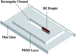 Graphical abstract: Controlled one dimensional oscillation of the Belousov–Zhabotinsky reaction confined within microchannels