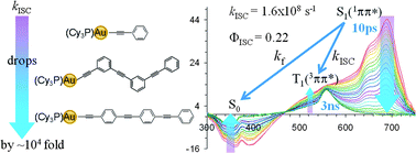 Graphical abstract: Ligand π-conjugation dictated intersystem crossing in phenyleneethynylene gold(i) complexes
