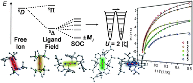 Graphical abstract: Slow magnetization dynamics in a series of two-coordinate iron(ii) complexes