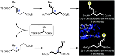 Graphical abstract: δ-Unsaturated γ-amino acids: enantiodivergent synthesis and cell imaging studies