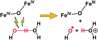 Graphical abstract: Oxidation of water by a nonhaem diiron(iv) complex via proton-coupled electron transfer