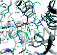 Graphical abstract: Probing kojic acid binding to tyrosinase enzyme: insights from a model complex and QM/MM calculations