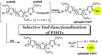 Graphical abstract: Simple procedure for mono- and bis-end-functionalization of regioregular poly(3-hexylthiophene)s using chalcogens