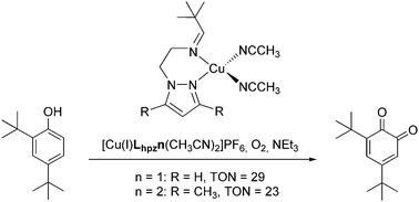 Graphical abstract: New catalytic model systems of tyrosinase: fine tuning of the reactivity with pyrazole-based N-donor ligands