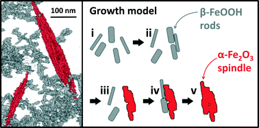 Graphical abstract: Aggregation-induced growth and transformation of β-FeOOH nanorods to micron-sized α-Fe2O3 spindles
