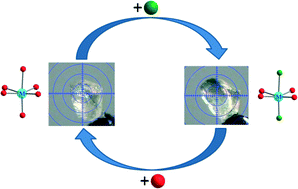 Graphical abstract: Substitution at the metal center of coordination polymers in single-crystal-to-single-crystal (SC-SC) transformation