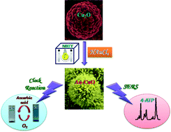 Graphical abstract: Hierarchical Au–CuO nanocomposite from redox transformation reaction for surface enhanced Raman scattering and clock reaction