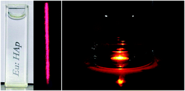 Graphical abstract: Synthesis of chemically pure, luminescent Eu3+ doped HAp nanoparticles: a promising fluorescent probe for in vivo imaging applications