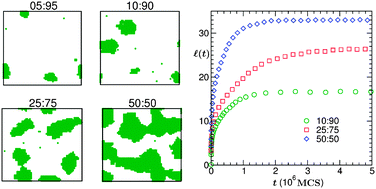 Graphical abstract: Temperature and composition dependence of kinetics of phase separation in solid binary mixtures