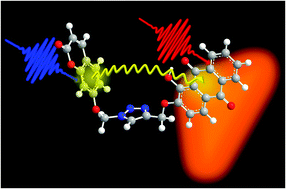 Graphical abstract: Ultrafast resonance energy transfer in the umbelliferone–alizarin bichromophore