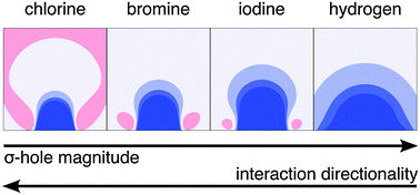 Graphical abstract: The strength and directionality of a halogen bond are co-determined by the magnitude and size of the σ-hole