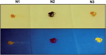 Graphical abstract: Novel self-assembled 2D networks based on zinc metal ion co-ordination: synthesis and comparative study with 3D networks