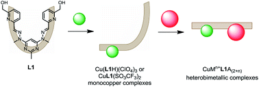 Graphical abstract: The one pot synthesis of heterobimetallic complexes from a homoditopic pyrimidine–hydrazone ligand