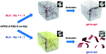 Graphical abstract: Tunable mechano-responsive organogels by ring-opening copolymerizations of N-carboxyanhydrides