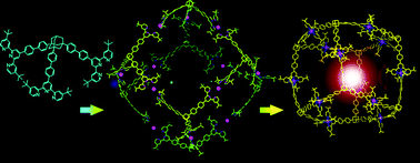 Graphical abstract: Self-assembly of giant supramolecular cubes with terpyridine ligands as vertices and metals on edges