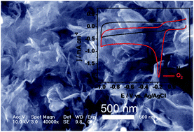 Graphical abstract: Cobalt and nitrogen-cofunctionalized graphene as a durable non-precious metal catalyst with enhanced ORR activity,