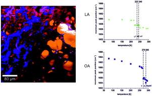 Graphical abstract: Raman microspectroscopy of noncancerous and cancerous human breast tissues. Identification and phase transitions of linoleic and oleic acids by Raman low-temperature studies