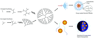 Graphical abstract: Recent advances in targeted drug delivery approaches using dendritic polymers