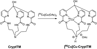 Graphical abstract: Synthesis, complex stability and small animal PET imaging of a novel 64Cu-labelled cryptand molecule