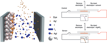Graphical abstract: Self-powered ion detectors based on dye-sensitized photovoltaics