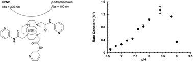 Graphical abstract: Tri- and tetra-substituted cyclen based lanthanide(iii) ion complexes as ribonuclease mimics: a study into the effect of log Ka, hydration and hydrophobicity on phosphodiester hydrolysis of the RNA-model 2-hydroxypropyl-4-nitrophenyl phosphate (HPNP)