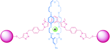 Graphical abstract: Bis-triazolium containing macrocycles, pseudorotaxanes and interlocked structures for anion recognition