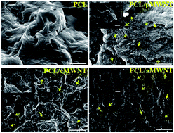 Graphical abstract: Amine-functionalized multiwall carbon nanotubes impart osteoinductive and bactericidal properties in poly(ε-caprolactone) composites