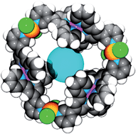 Graphical abstract: Self-assembly of supramolecular triangles with neutral trans-PdCl2 directing units