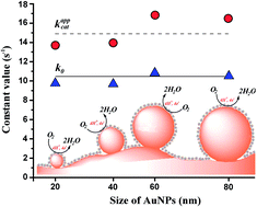 Graphical abstract: The influence of nanoparticles on enzymatic bioelectrocatalysis