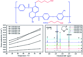 Graphical abstract: Fully aromatic naphthalene-based sulfonated poly(arylene ether ketone)s with flexible sulfoalkyl groups as polymer electrolyte membranes