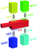 Graphical abstract: Multiplexed DNA detection based on positional encoding/decoding with self-assembled DNA nanostructures