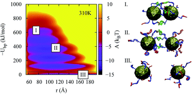 Graphical abstract: A molecular view of DNA-conjugated nanoparticle association energies