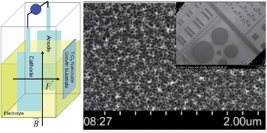 Graphical abstract: Magnetic field-assisted electroless anodization: TiO2 nanotube growth on discontinuous, patterned Ti films