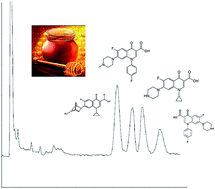 Graphical abstract: Analysis of danofloxacin, difloxacin, ciprofloxacin and sarafloxacin in honey using micellar liquid chromatography and validation according to the 2002/657/EC decision