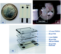 Graphical abstract: An integrated sensing and wireless communications platform for sensing sodium in sweat