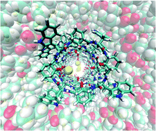 Graphical abstract: Molecular dynamics simulations for designing biomimetic pores based on internally functionalized self-assembling α,γ-peptide nanotubes