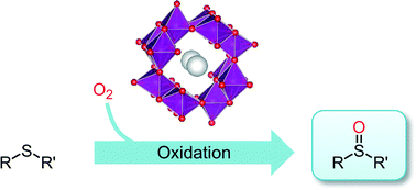 Graphical abstract: Molybdenum-doped α-MnO2 as an efficient reusable heterogeneous catalyst for aerobic sulfide oxygenation