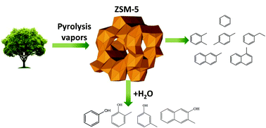 Graphical abstract: Catalytic fast pyrolysis of biomass: the reactions of water and aromatic intermediates produces phenols