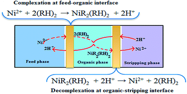 Graphical abstract: Nickel ion coupled counter complexation and decomplexation through a modified supported liquid membrane system