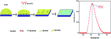 Graphical abstract: Structures and photoluminescence properties of Alq3 1D materials prepared by an extremely facile solution method