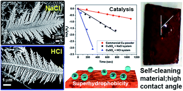 Graphical abstract: Solution chemistry-based nano-structuring of copper dendrites for efficient use in catalysis and superhydrophobic surfaces