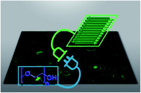 Graphical abstract: Toward hemocompatible self-assembling antimicrobial nanofibers: understanding the synergistic effect of supramolecular structure and PEGylation on hemocompatibility